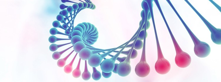Natural Bioethics Philosophy – Dr. Norman´s blog